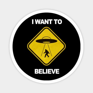 I want to believe Magnet